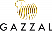 30 ОКТЯБРЯ Поступление пряжи фирмы GAZZAL