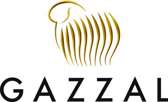30 ОКТЯБРЯ  Поступление пряжи фирмы GAZZAL